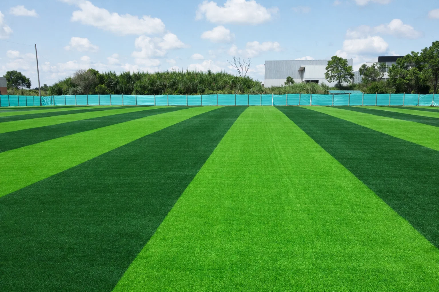 Proyectos de grama sintética A&R Importer